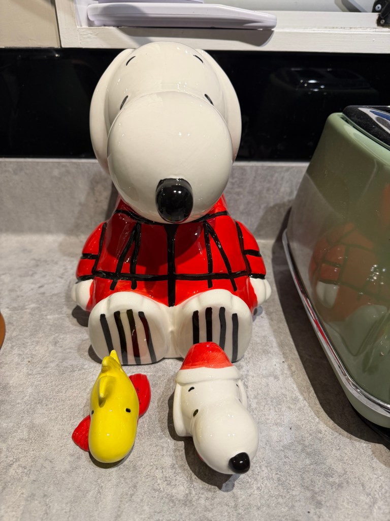 A wonderful day with the family. – Matisyahu's Blog